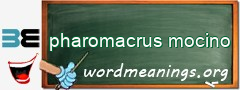 WordMeaning blackboard for pharomacrus mocino